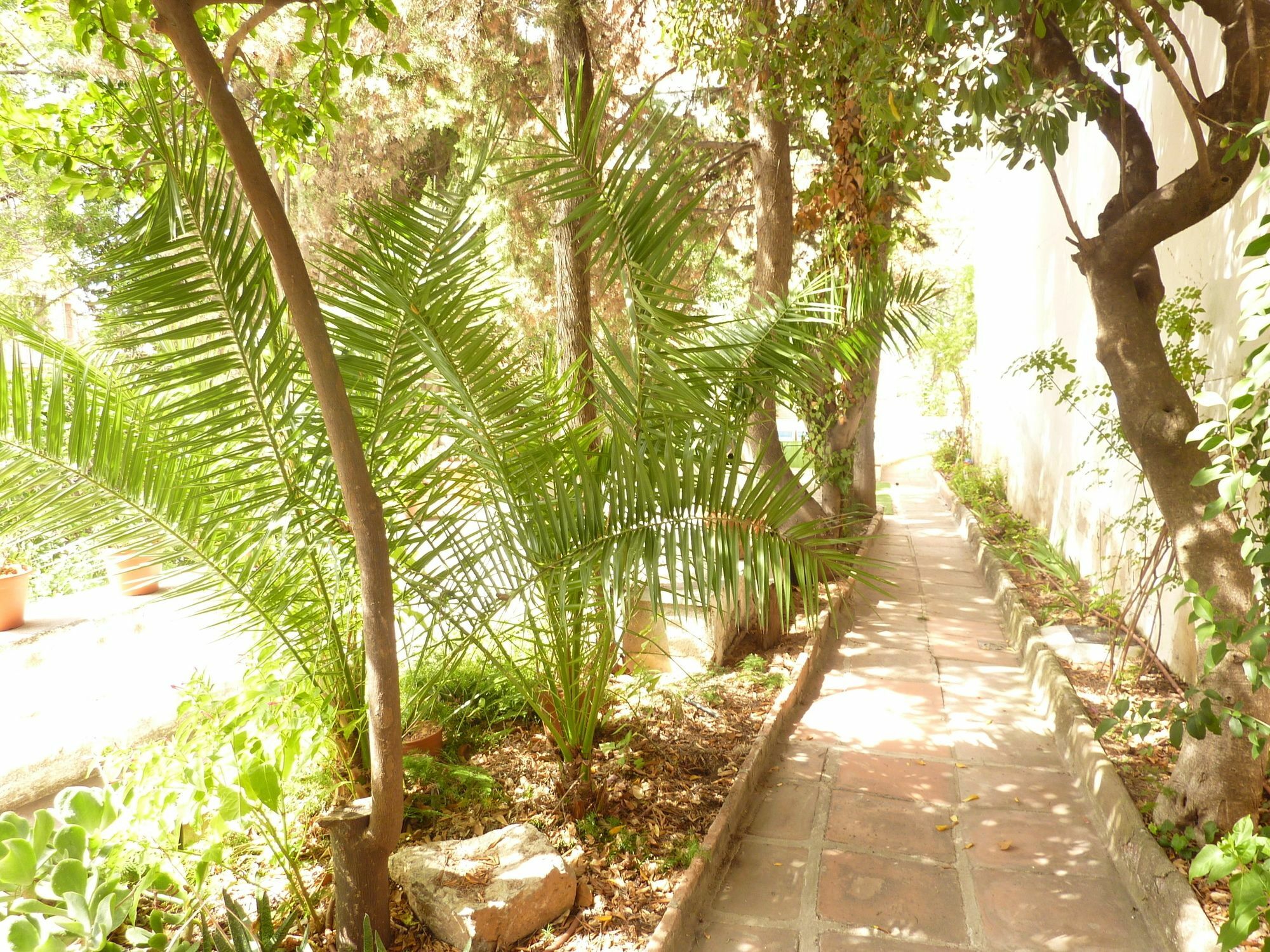 ברצלונה Casa Vilaro מראה חיצוני תמונה